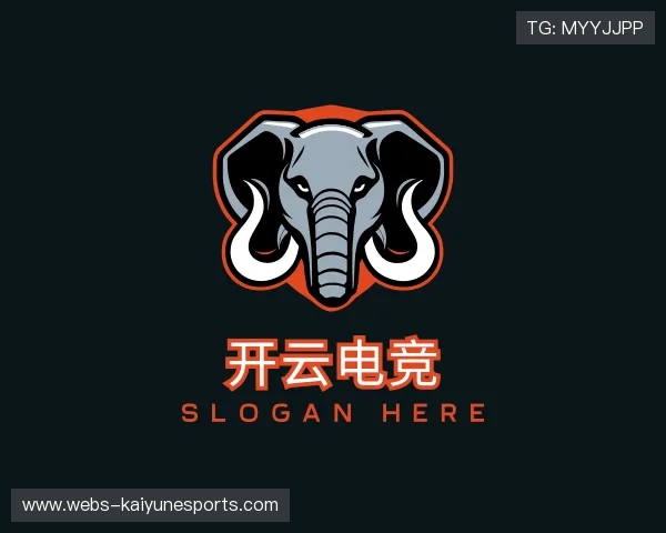 了解开云电竞官网