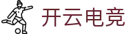 开云·电竞-开云电竞官网入口-Kaiyun Esports